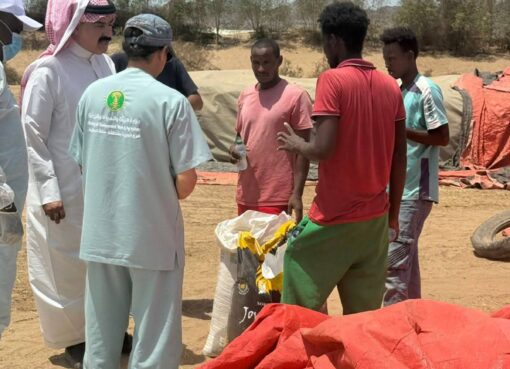 بيئة خليص تباشر بلاغ نفوق عدد من المواشي نتيجة اشتباه تسمم غذائي بيئة خليص تباشر بلاغ نفوق عدد من المواشي نتيجة اشتباه تسمم غذائي
