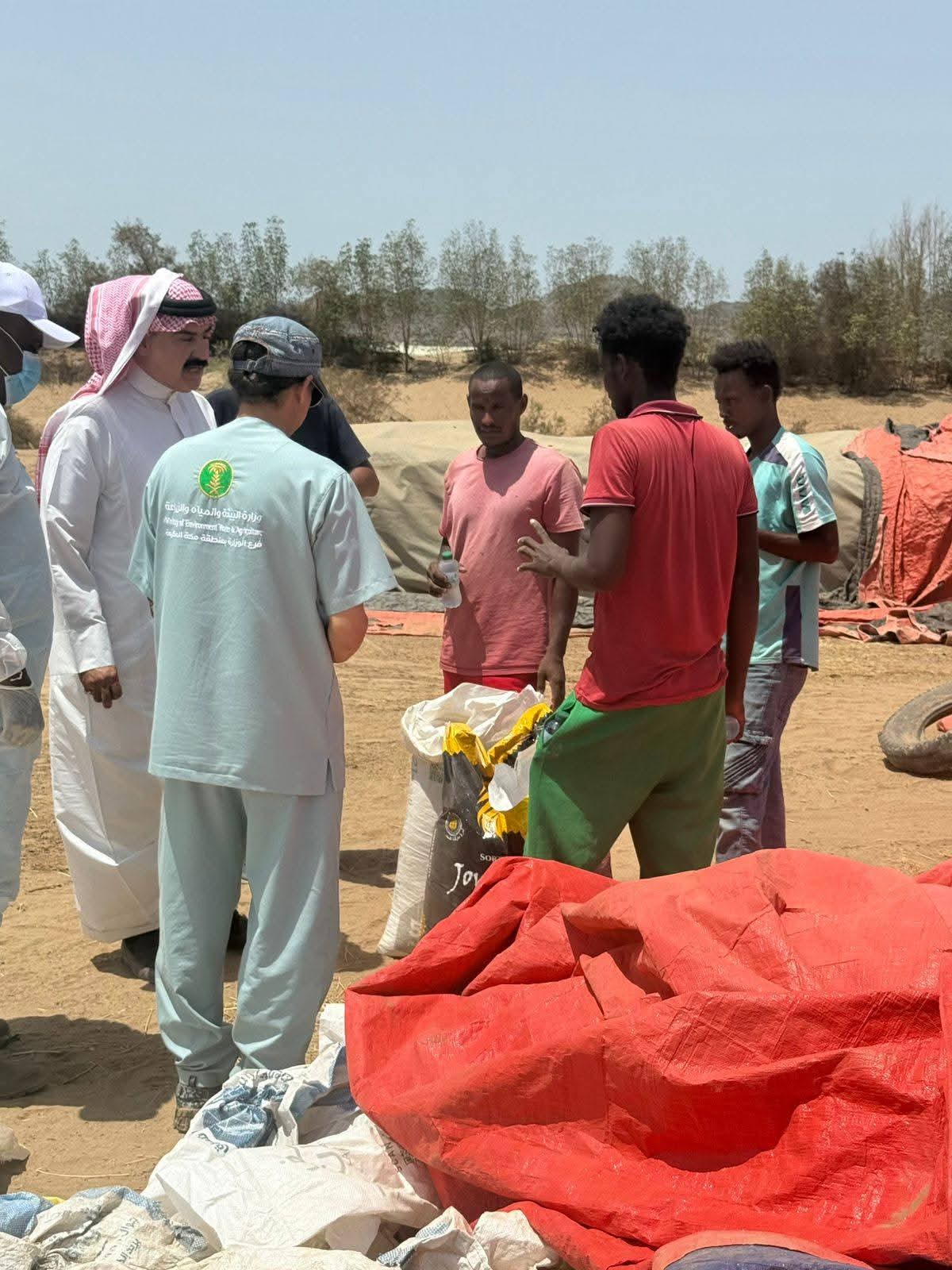 بيئة خليص تباشر بلاغ نفوق عدد من المواشي نتيجة اشتباه تسمم غذائي
