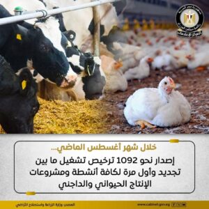 الزراعة إصدار نحو 1092 ترخيص تشغيل ما بين تجديد وأول مرة لكافة أنشطة الثروة الحيوانية
