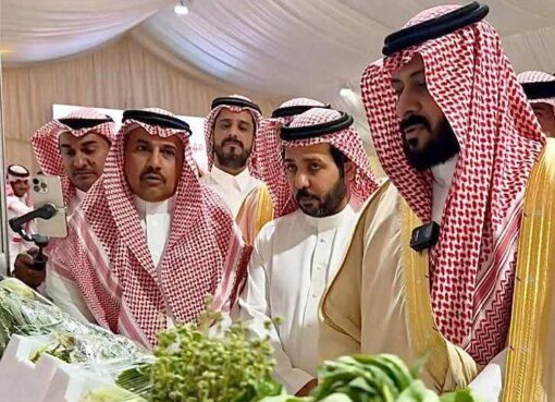 برعاية محافظ الجموم.. مكتب البيئة يدشن مهرجان “خيرات وادي فاطمة 2025”  برعاية محافظ الجموم.. مكتب البيئة يدشن مهرجان "خيرات وادي فاطمة 2025"