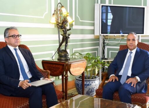 وزير الخارجية يبحث مع خالد العناني دعم ترشح مصر لليونسكو