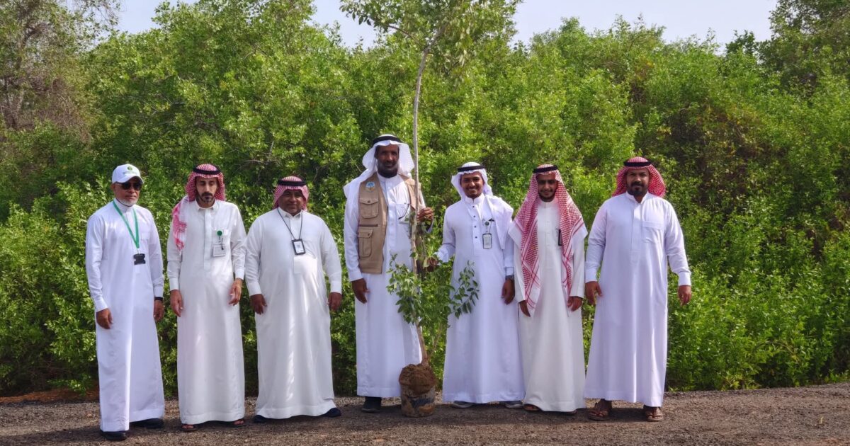 تعاون بيئة جدة ورابغ في مبادرة "مزرعة الأراك" لتعزيز التشجير بالقضيمة