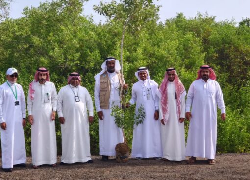 تعاون بيئة جدة ورابغ في مبادرة “مزرعة الأراك” لتعزيز التشجير بالقضيمة تعاون بيئة جدة ورابغ في مبادرة "مزرعة الأراك" لتعزيز التشجير بالقضيمة