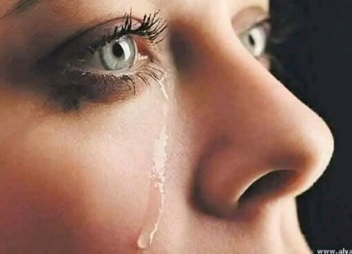 أول حب مات أول حب مات