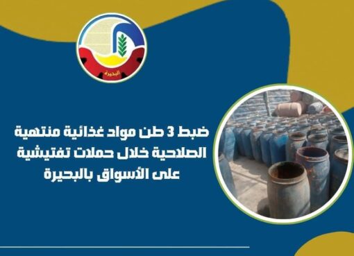 ٣ طن مواد غذائية منتهية الصلاحية تم ضبطها خلال حملات تفتيشية على الأسواق بالبحيرة