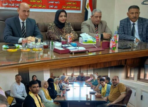 “مصر الوسطى للكهرباء” تنظم ندوة للتوعية بمخاطر التنقيب غير الشرعي عن الآثار