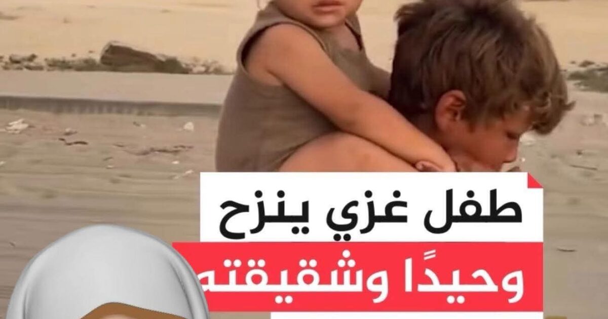 فلسطين تمضي ٠٠