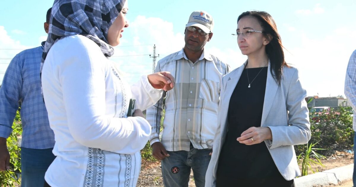 محافظ البحيرة تتفقد أعمال تجميل وتشجير الطريق الزراعي السريع بكفر الدوار وتؤكد ...