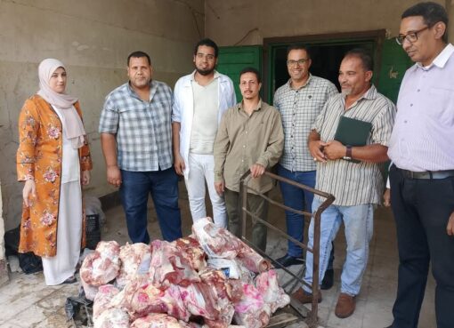 محافظ سوهاج: ضبط وإعدام 220 كيلو لحوم وأسماك فاسدة بحي شرق محافظ سوهاج: ضبط وإعدام 220 كيلو لحوم وأسماك فاسدة بحي شرق