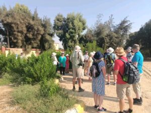 مع انطلاق الموسم السياحي.. توافد السياح على المناطق الأثرية بالمنيا