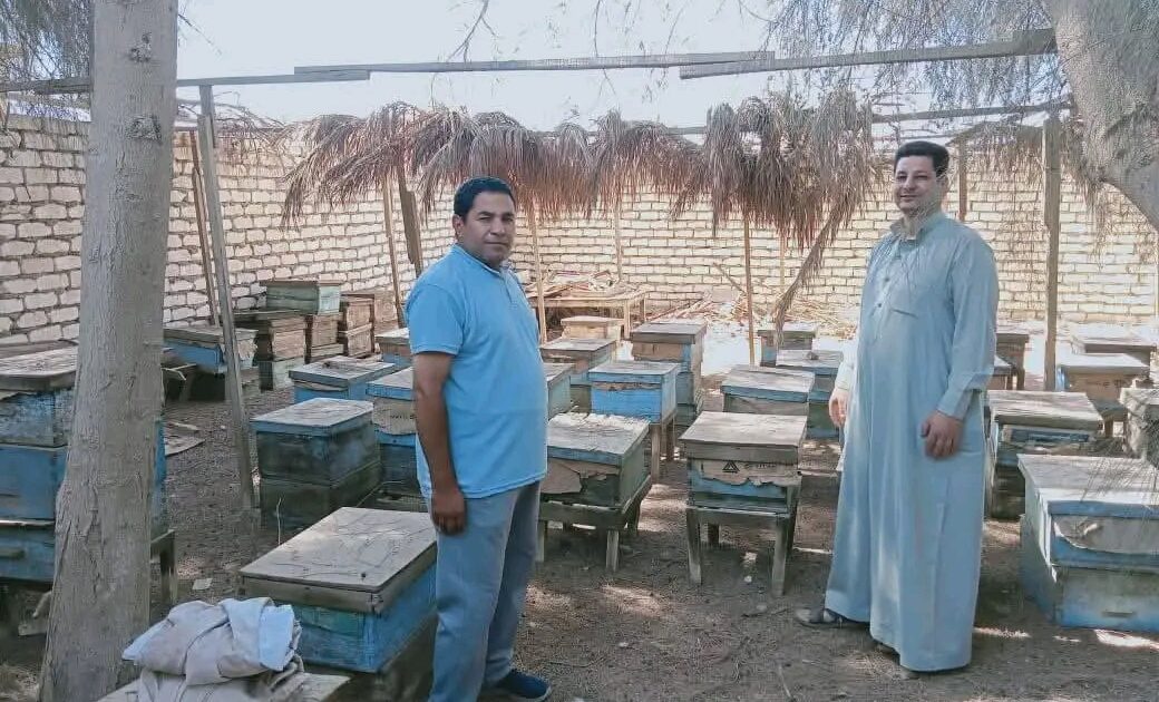 مركز ومدينة الواسطى ببني سويف تشن حملة نظافة ومواجهة التعديات.