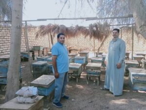 مركز ومدينة الواسطى ببني سويف تشن حملة نظافة ومواجهة التعديات.