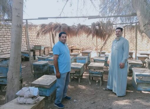 مركز ومدينة الواسطى ببني سويف تشن حملة نظافة ومواجهة التعديات.