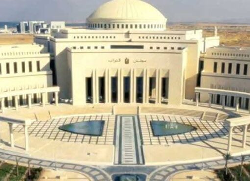 النائب بين المسؤولية الوطنية والتنمية المحلية الشاملة