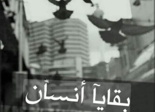 احس بداخلي برك