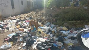 أسوان تشكو تفاقم أزمة القمامة في أحد أهم شوارعها