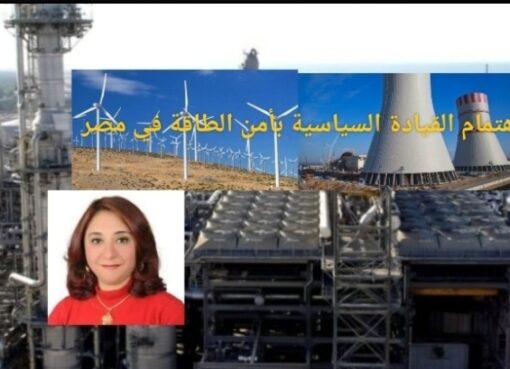 اهتمام القيادة السياسية بأمن الطاقة في مصر اهتمام القيادة السياسية بأمن الطاقة في مصر