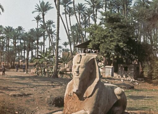 ظواهر غريبة وتعدد مظاهر العنف والجريمة فى جنبات الشعب المصرى