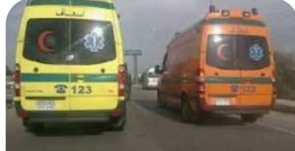 إصابة 14 عاملًا في انقلاب سيارة ربع نقل على طريق الفيوم الصحراوي