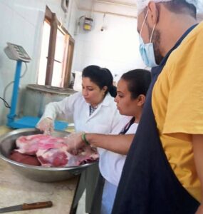 صحة المواطن أولاً: حملات بيطرية مكثفة بسوهاج تضبط 300 كجم أسماك فاسدة وتفحص وجبات المدارس