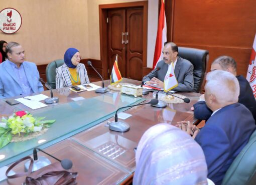 سراج يدعم: سوهاج تضع خطة لمواجهة العنف ضد المرأة