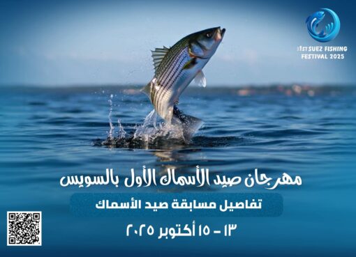 مهرجان_صيد_الاسماك_بالسويس و تفاصيل عن مسابقة صيد الأسماك