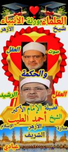 الطيب العقل والحكمة