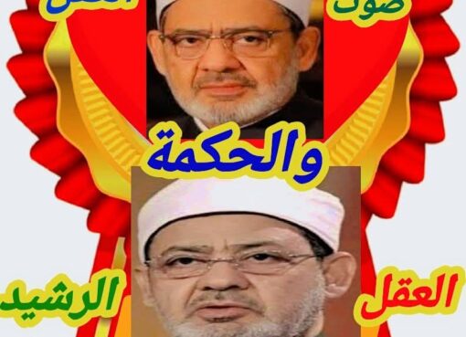 الطيب العقل والحكمة الطيب العقل والحكمة