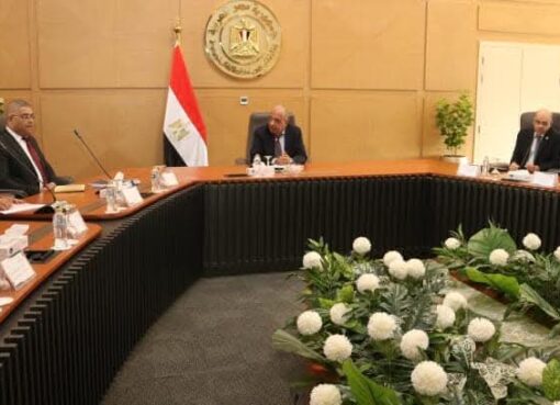 لجنة رئاسية لتعظيم الاستفادة من العناصر الأرضيّة النادرة