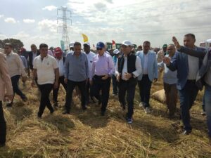 وفود منتدى الأرز الأفريقي تشيد بتجارب "سخا" المبتكرة