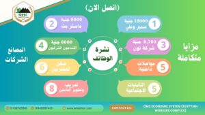 نشرة الوظائف : 12,000 جـ في "سمير وعلي"، 8,000 جـ في "ماستر بت"، و 8,700 جـ في "نون"و6000 جـ في "النساجون الشرقيون