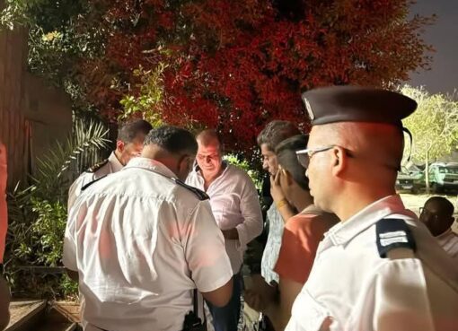 محافظة الجيزة توضح ملابسات العثور على تمساح نيلي صغير بحدائق الأهرام محافظة الجيزة توضح ملابسات العثور على تمساح نيلي صغير بحدائق الأهرام