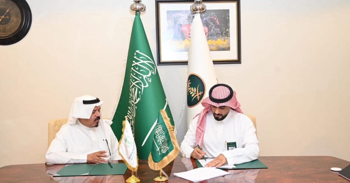 بيئة منطقة مكة المكرمة تبدأ بتأجير مواقع المخيمات والفعاليات الموسمية بالتنسيق مع فرع المركز الوطني لتنمية الغطاء النباتي