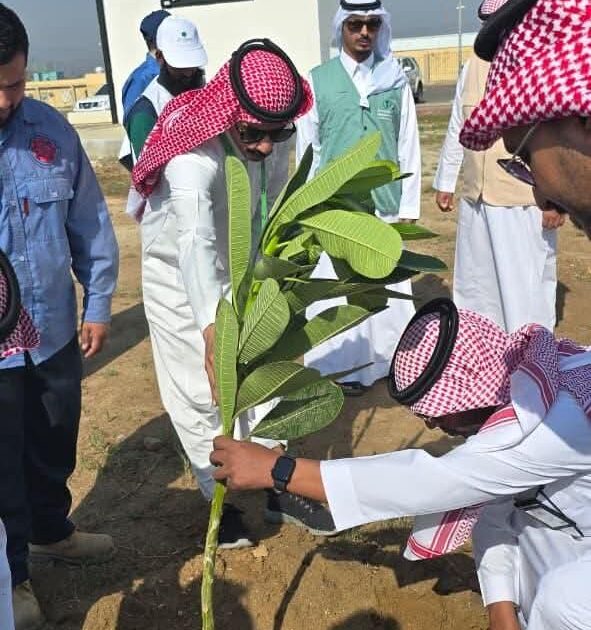 بيئة العرضيات تنفذ مبادرة لتشجير 3000 شجرة