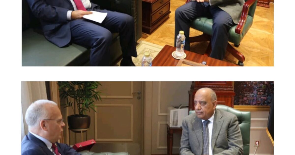 وزير الكهرباء والطاقة المتجددة وسفير السويد بالقاهرة يبحثان سبل دعم الشراكة والتعاون فى مجالات الطاقة المتجددة