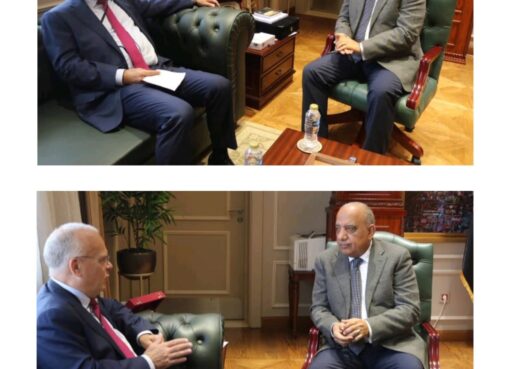 وزير الكهرباء والطاقة المتجددة وسفير السويد بالقاهرة يبحثان سبل دعم الشراكة والتعاون فى مجالات الطاقة المتجددة وزير الكهرباء والطاقة المتجددة وسفير السويد بالقاهرة يبحثان سبل دعم الشراكة والتعاون فى مجالات الطاقة المتجددة