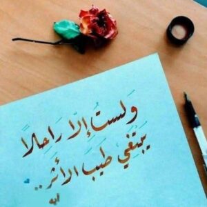 معلمين المدارس في خطر بسبب المؤامرات والدروس الخصوصية ( ناقوس الخطر )