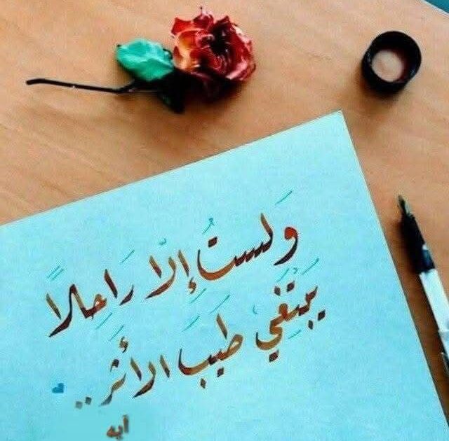 معلمين المدارس في خطر بسبب المؤامرات والدروس الخصوصية ( ناقوس الخطر )