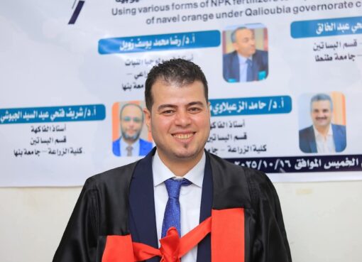ابتكار علمي جديد بجامعة بنها لتحسين إنتاج البرتقال باستخدام الأسمدة المركبة