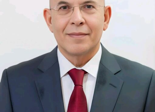 المستهام المستهام