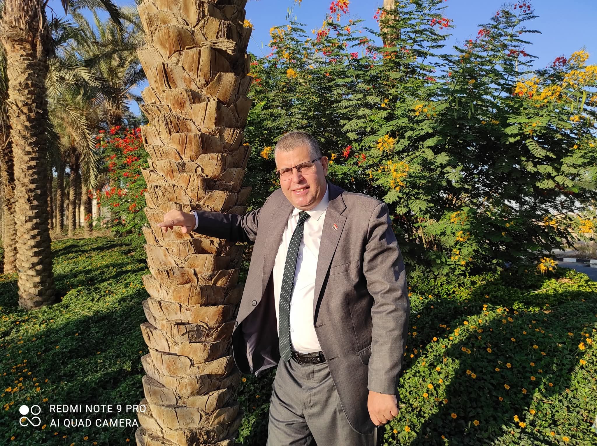 الأمن والإيمان قرينان