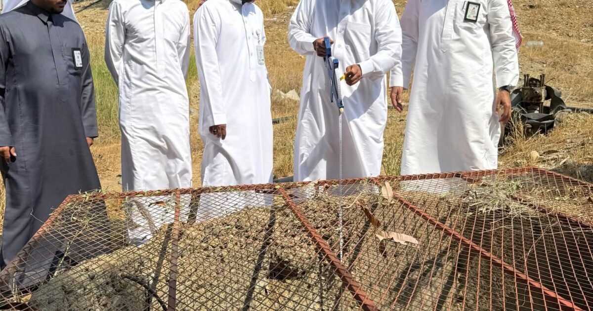 بيئة القنفذة تنفذ برنامجًا للمختصين لمتابعة مجرى الأودية بعد فتح السدود