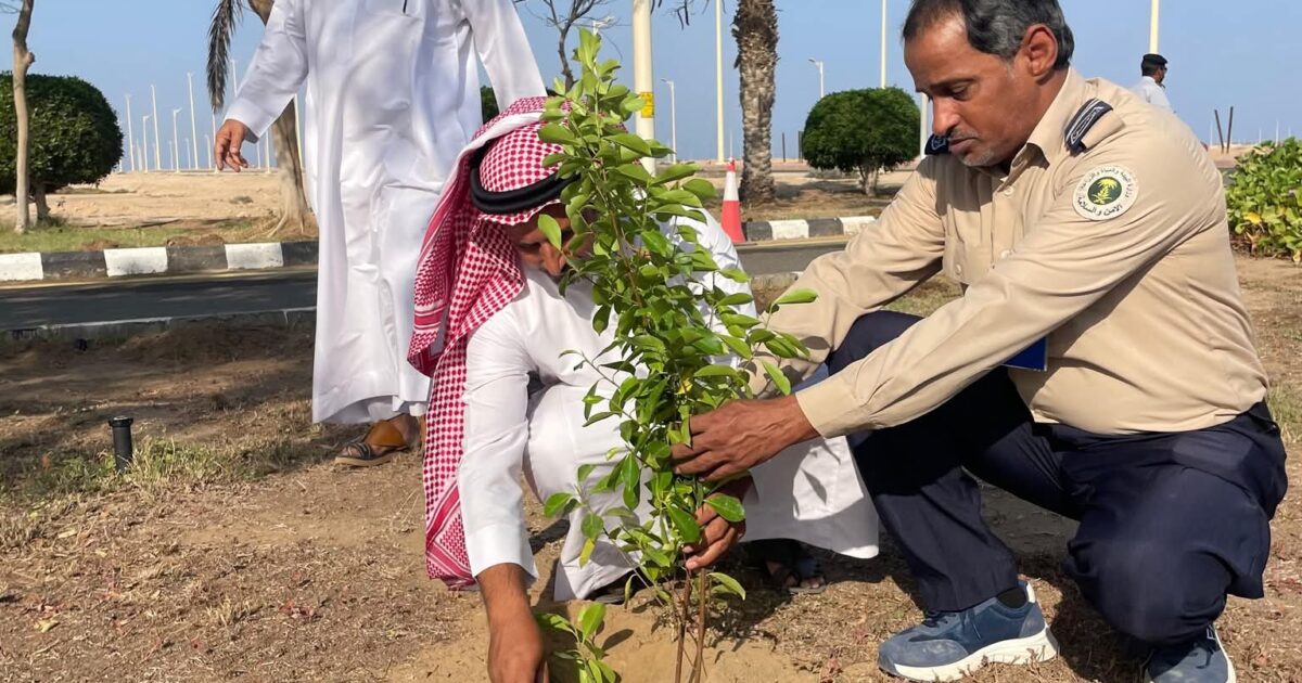 بيئة رابغ تنفذ سلسلة مبادرات بيئية في المدارس والجامعات لتعزيز الوعي البيئي