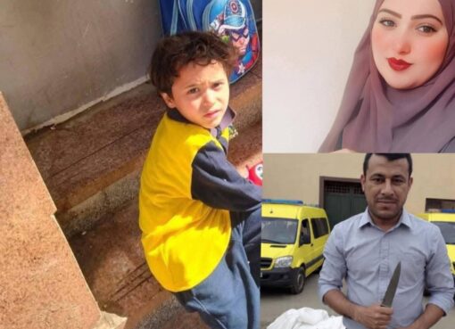 المنوفيه المنوفيه