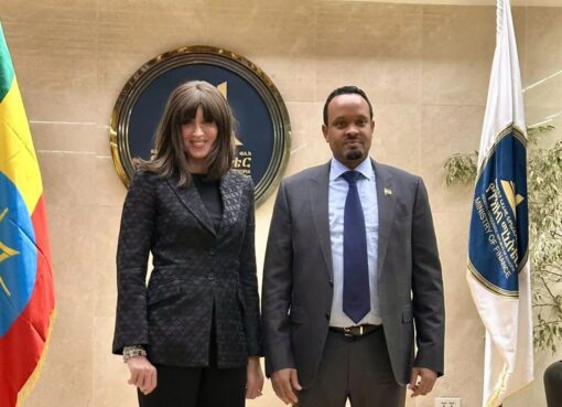 إيطاليا بصدد تنفيذ مشروعات بحثية في الدول الأفريقية