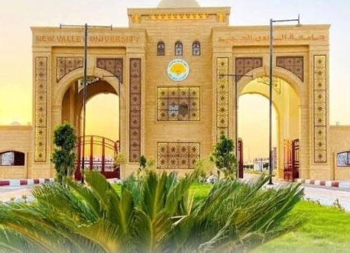 إنجاز أكاديمي جديد يعكس تميز البحث العلمي وجودة النشر في جامعة الوادي الجديد إنجاز أكاديمي جديد يعكس تميز البحث العلمي وجودة النشر في جامعة الوادي الجديد