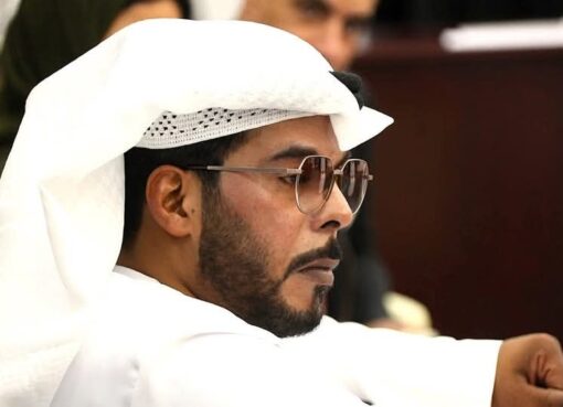 سقوط القطط حين يعلمنا السقوط كيف ننهض سقوط القطط حين يعلمنا السقوط كيف ننهض