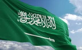 إدانة التصرفات الفردية المخالفة للقيم الإسلامية والأخلاقية بين الشعبين المصري والسعودي