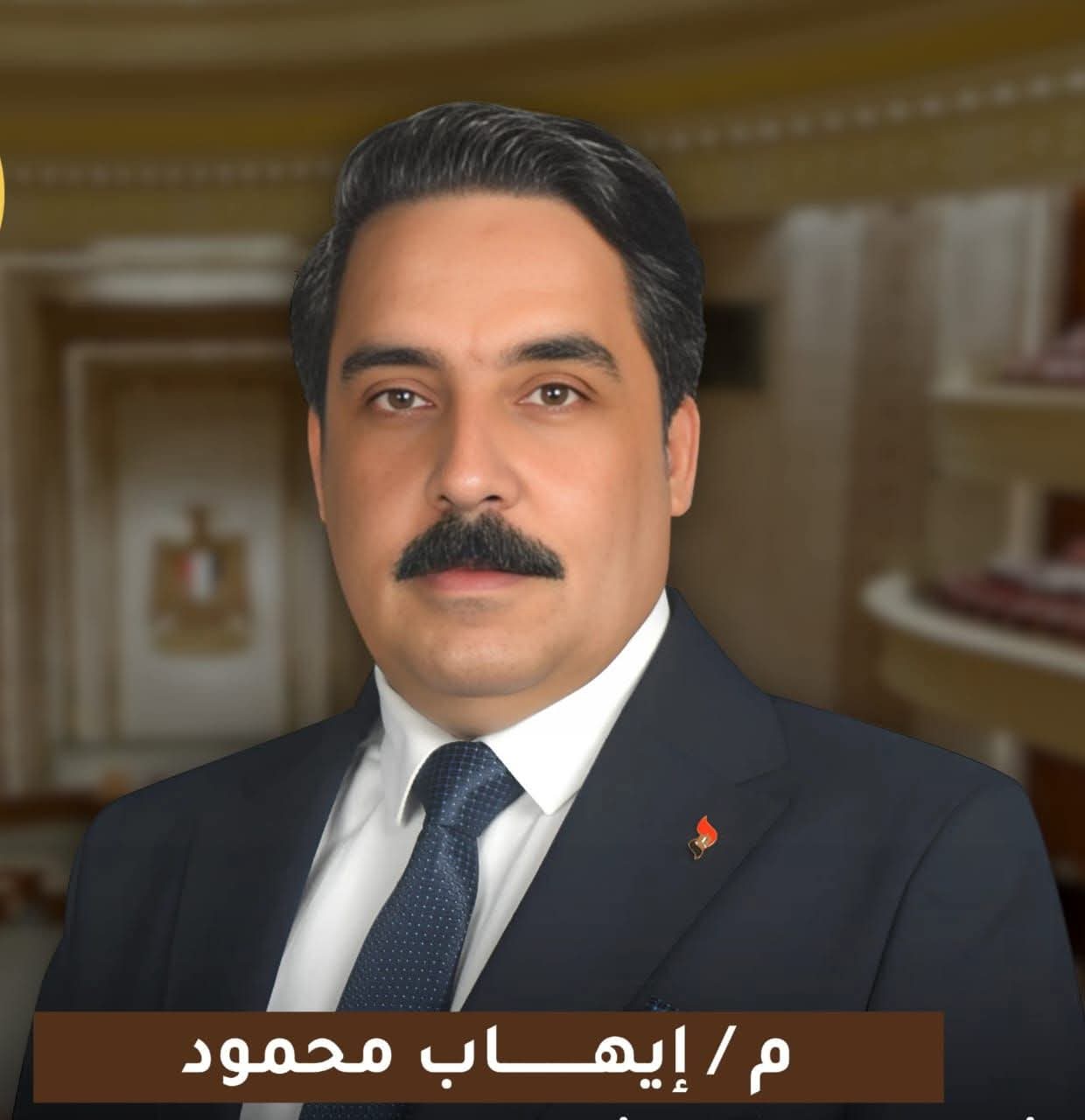رؤية المهندس إيهاب محمود: بين السياسي الحقيقي والمدعي