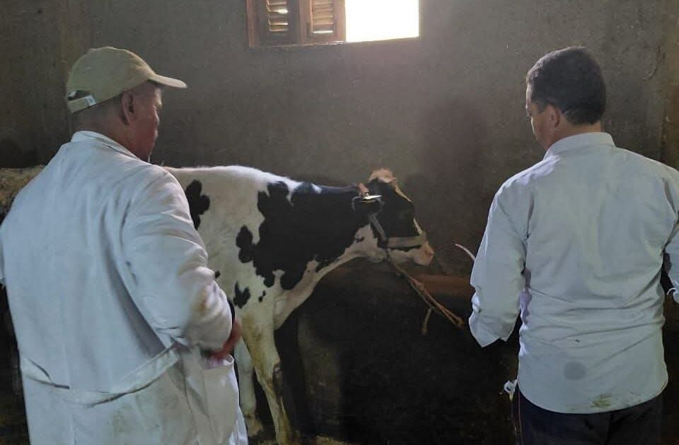 الحملة القومية الثالثة للتحصين ضد الحمى القلاعية وحمى الوادي المتصدع بالبحيرة
